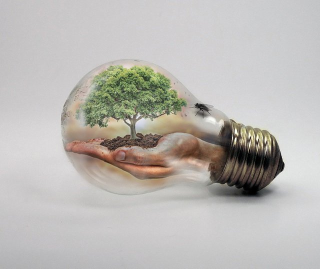 bulb-2368396_1280.jpg